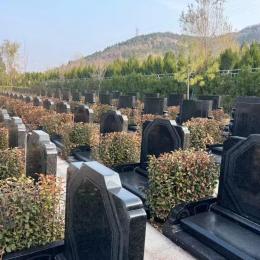 陵园墓地