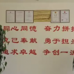 公司资质